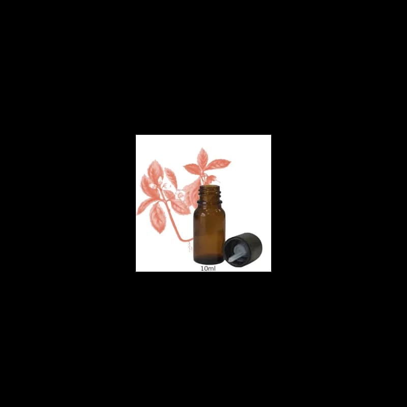 JERRAFLORE HUILE ESSENTIELLE GAULTHÉRIE 10ml