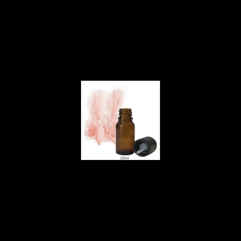 JERRAFLORE HUILE ESSENTIELLE DE TÉRÉBENTHINE 10ML