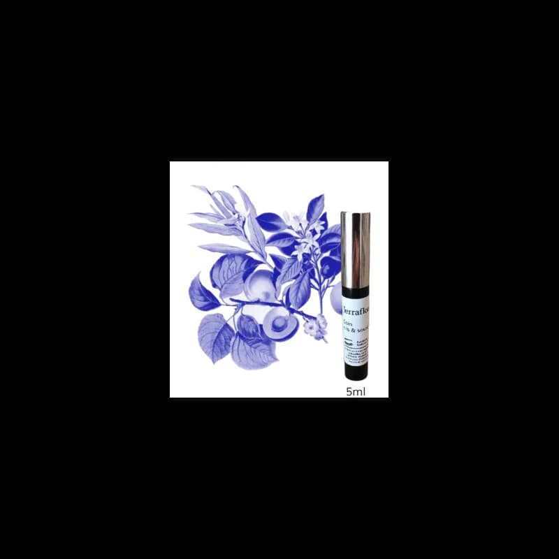 Jerraflore SOIN CILS & SOURCILS 5ml