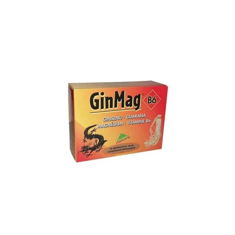 FORME ET NATURE GINMAG B6 10 AMPOULES